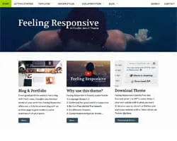 Feeling Responsive thumbnail