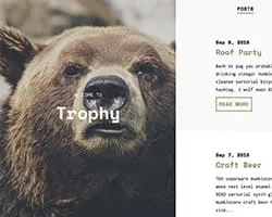 Trophy thumbnail